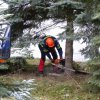 christbaumaufstellen 2017 06